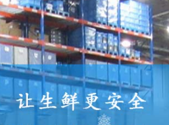 智能WMS冷庫管理系統：優(yōu)化庫存管理的新策略