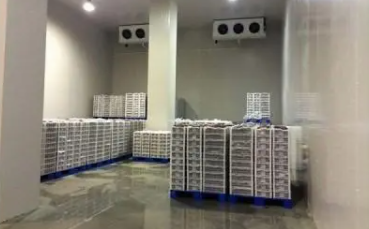 企業(yè)上線智能WMS冷庫管理系統前后對比：從傳統到智能化的蛻變